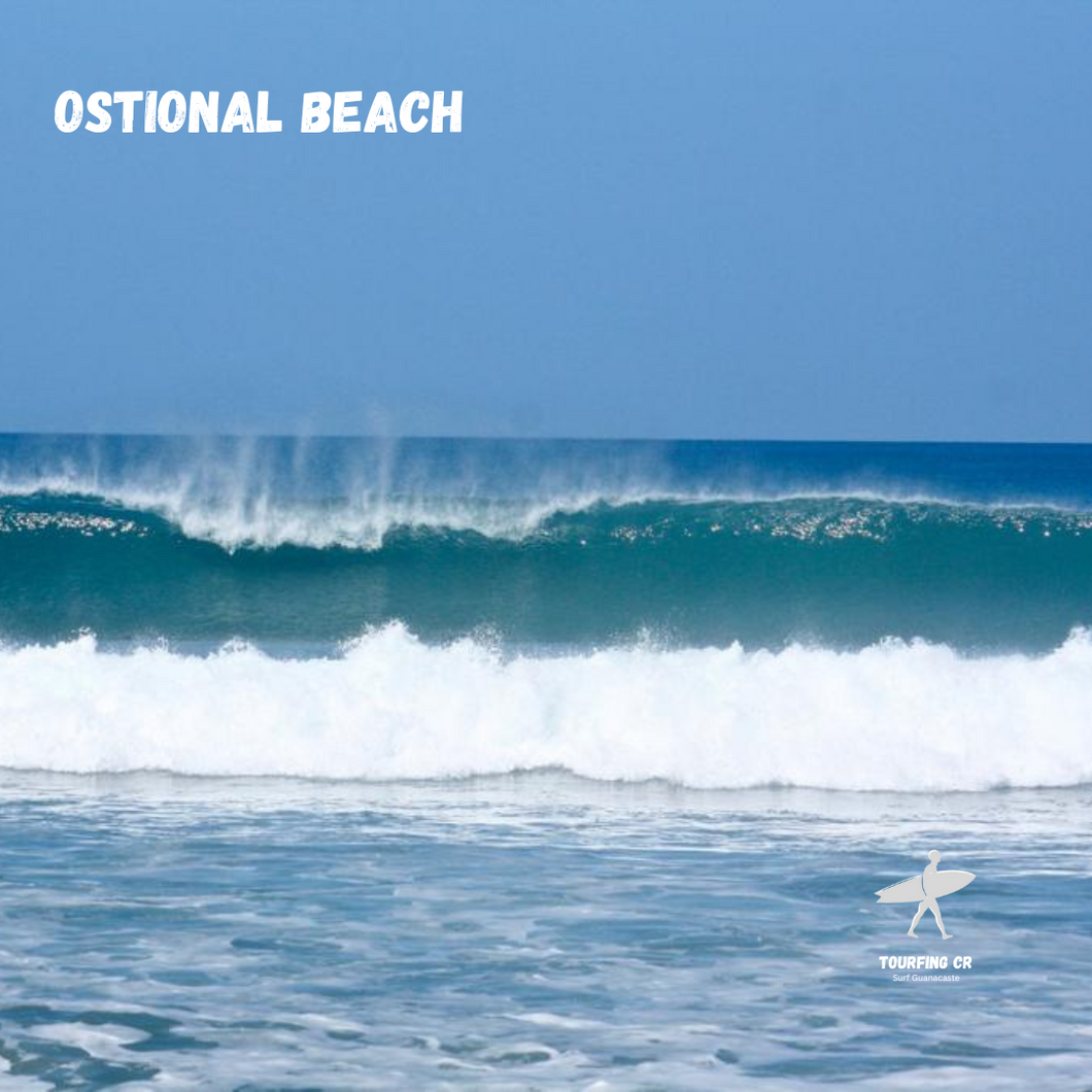 Ostional Beach Surf Tour